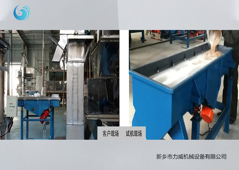 豆粉筛选麻豆网视频免费观看