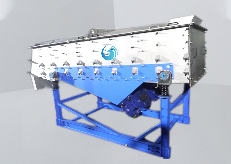 直线麻豆性视频在线